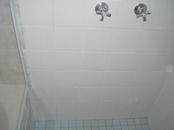 Tile Regrouting  Regrouting Shower Tile - The Grout Guy